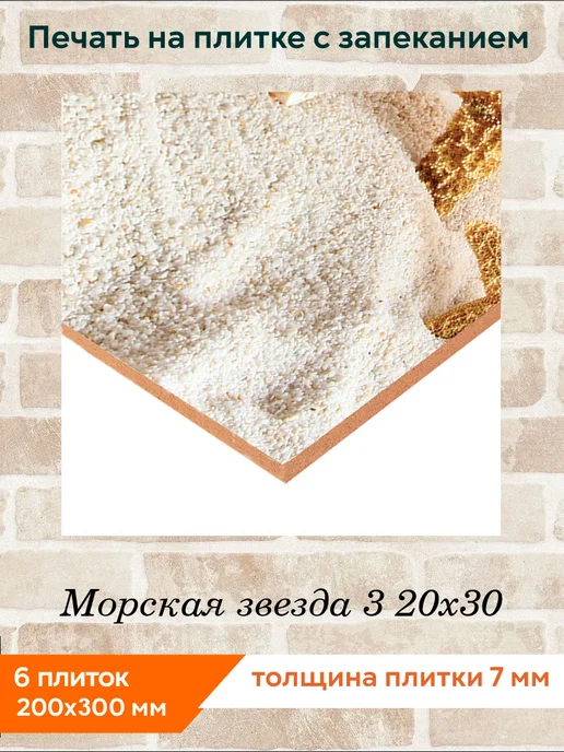 fres-co Панно из керамической плитки Морская звезда 3 20х30, 20x30, фото 2
