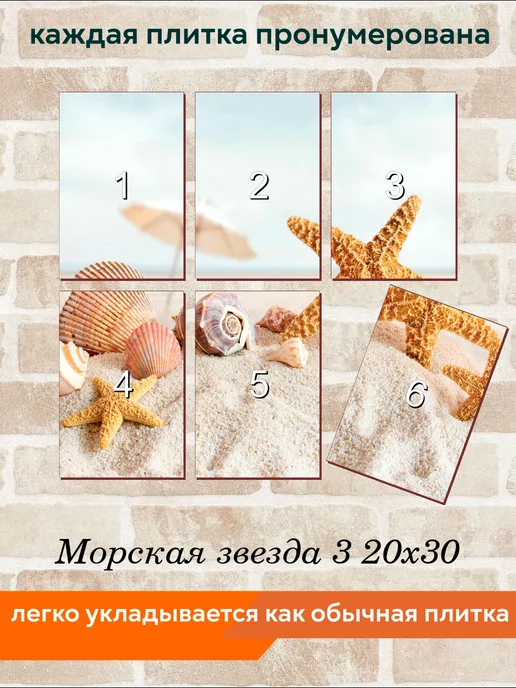 fres-co Панно из керамической плитки Морская звезда 3 20х30, 20x30, фото 4