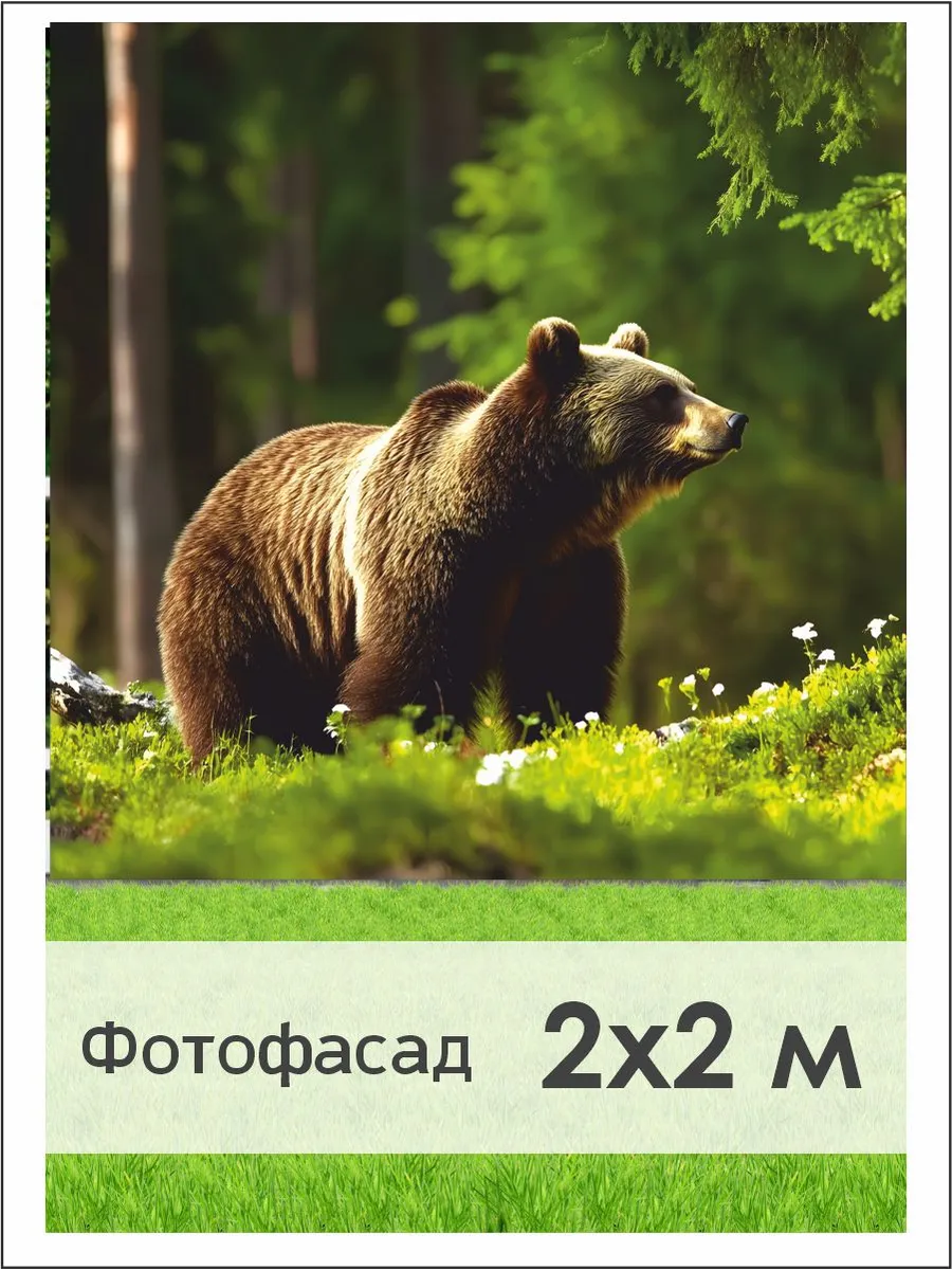 Фотофасад для дома и дачи. Фотобаннер для беседки.