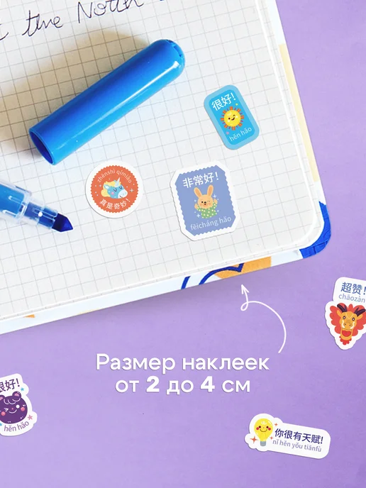 Выручалкин Наклейки-оценки на китайском, белый, фото 6