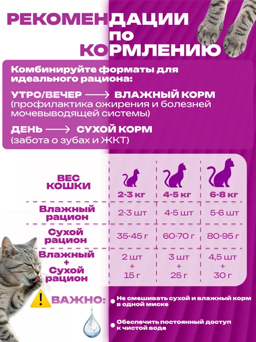 WHISKAS Влажный корм для стерилизованных кошек кролик желе 28 шт*75г, 28 шт, 75 г, фото 4