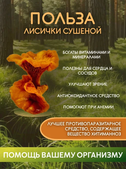Лисичка сушеная "Cantharellus cibarius" 100 гр, 100 г, фото 3