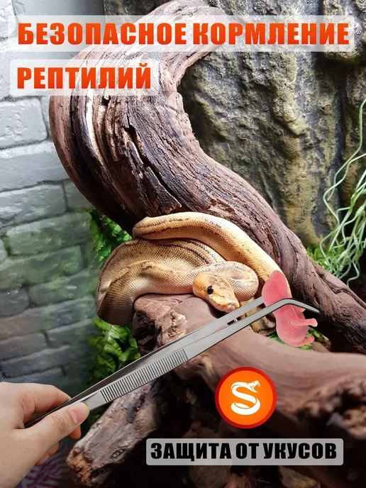 Mobicent Пинцеты для террариума и термометр гигрометр, черный, фото 8