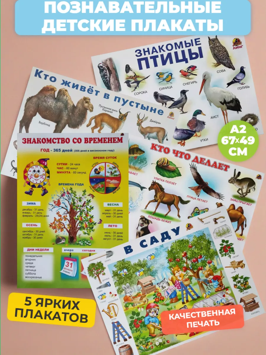 Набор обучающих плакатов А2, 5 штук