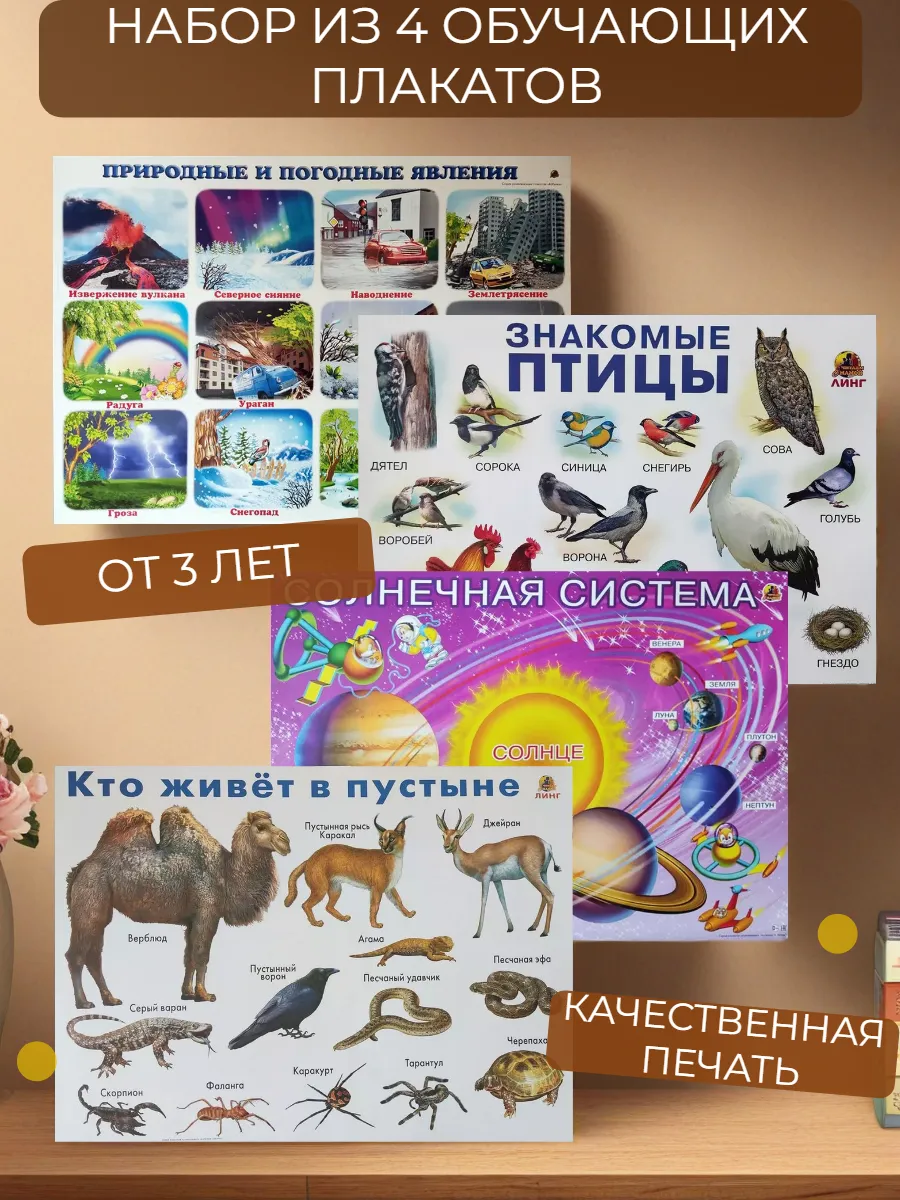 Набор обучающих плакатов А2, 4 штуки