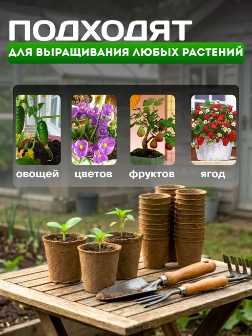 Экоторф Торфяные горшочки 60*60 мм, 60шт, 60x60 мм, 40 шт, фото 5