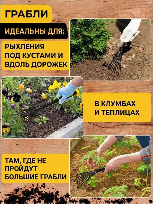 Инструм-агро Грабли садовые веерные, 9 зубьев, вариант, фото 2