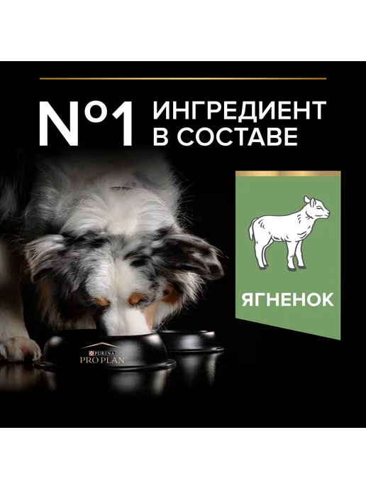 Сухой корм PRO PLAN Digestion для собак, чувствительное пищеварение, ягненок, 3 кг, фото 4