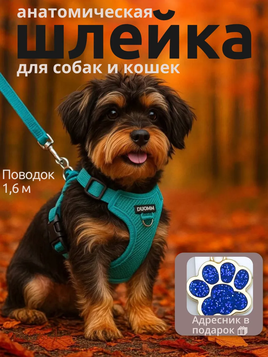 Шлейка для собак и кошек мелких и средних пород c поводком