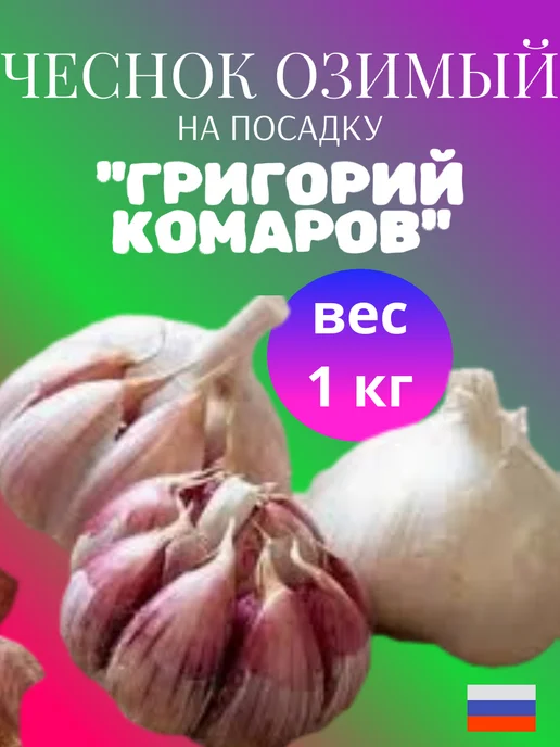 ОВОЩИ ОТ ФЕРМЕРА Чеснок на посадку Григорий Комаров 300гр, 1 кг