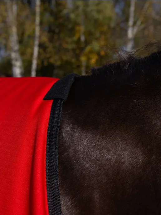 Попона зимняя дождевая HorsePlanet 250гр, 250 г, фото 3