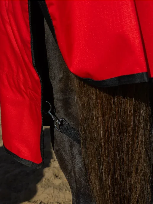 Попона зимняя дождевая HorsePlanet 250гр, 250 г, фото 4