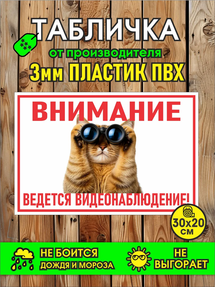 Информационная табличка «Внимание! Ведется видеонаблюдение!»