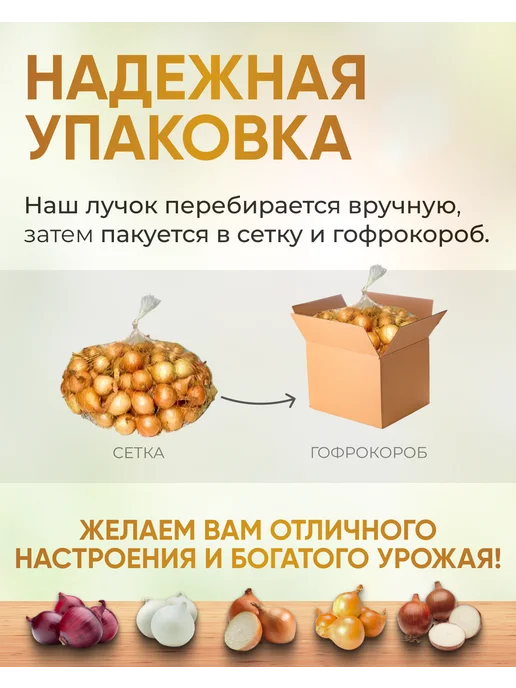ПРИВКУС РОССИИ Лук севок на посадку выборка Дедуля 0.5 кг, 1 кг, фото 2