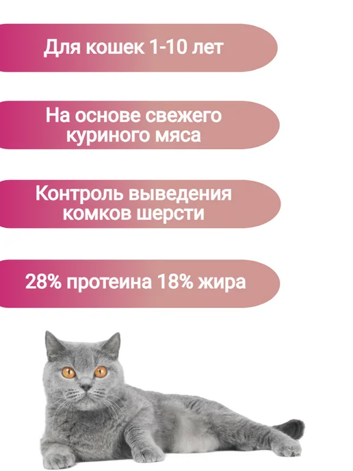 Сухой корм 1st Choice Домашних Кошек для собак, курица, 0,35 кг, фото 3