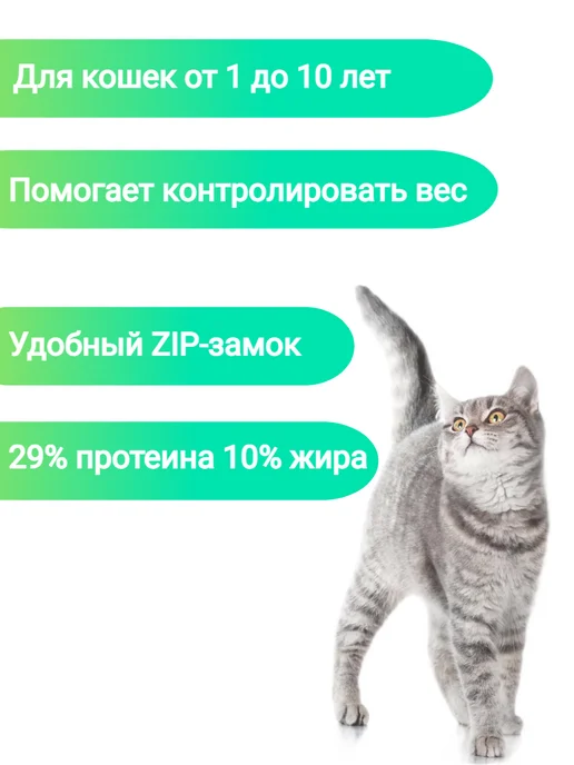 Сухой корм 1st Choice Кошек для собак, стерилизованные, 0,35 кг, фото 3