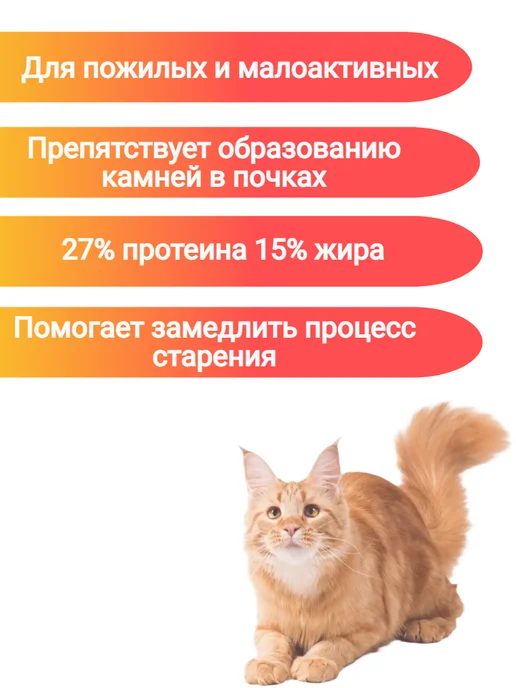 Сухой корм 1st Choice Кошек Mature для собак, курица, 0,35 кг, фото 3
