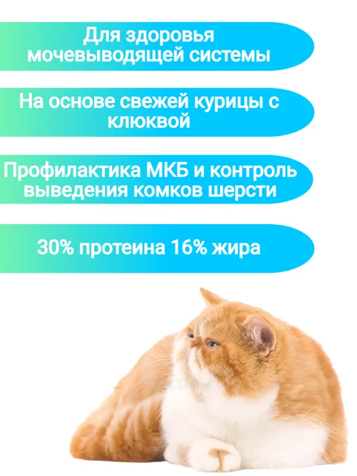 Сухой корм 1st Choice Кошек Urinary для собак, курица, 0,34 кг, фото 3