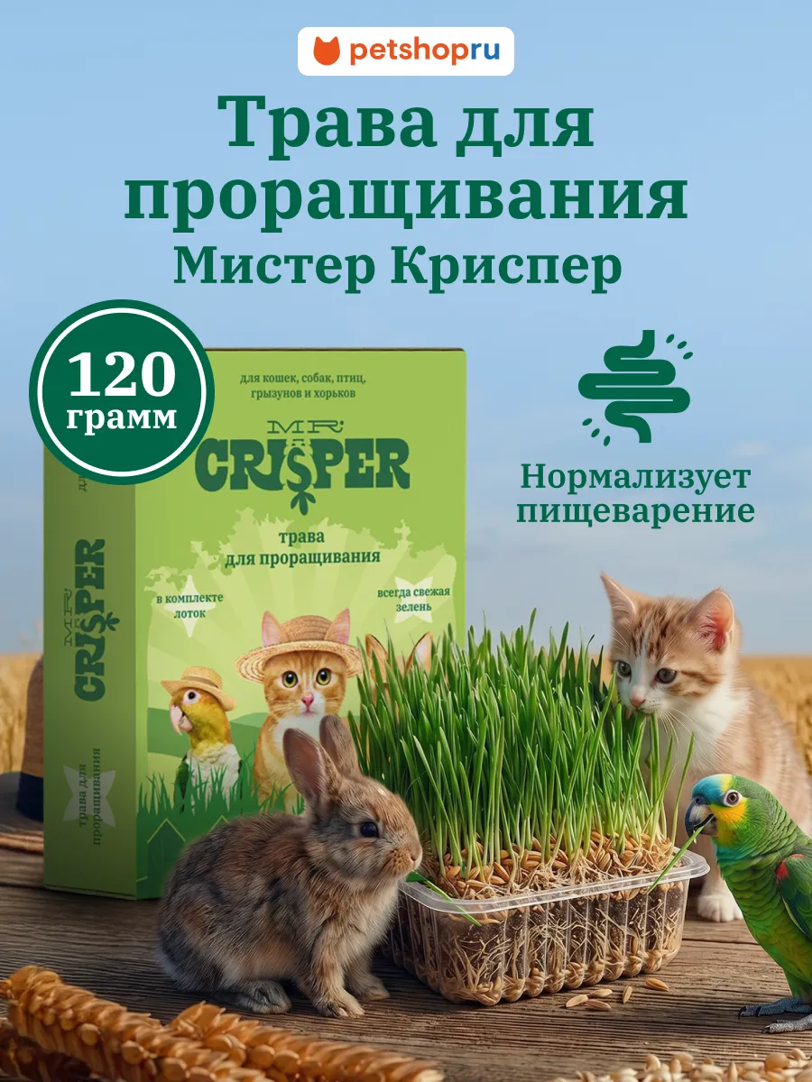 Трава для кошек птиц и кроликов Набор для выращивания 120г