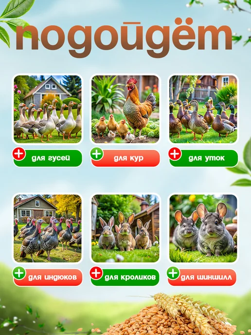 Милих Кормушка для домашней птицы бункерная на 5 л, 5 л, фото 2