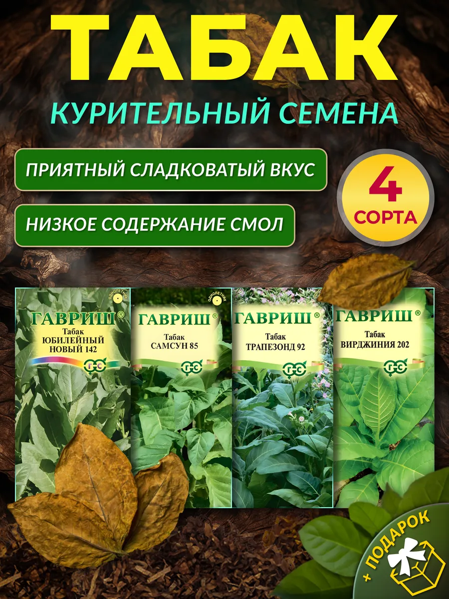 Семена табака курительного