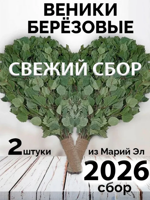 веник для бани березовый банный 6 штук, 2 шт