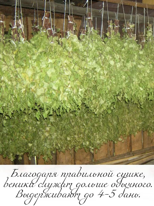 веник для бани березовый банный 6 штук, 2 шт, фото 2