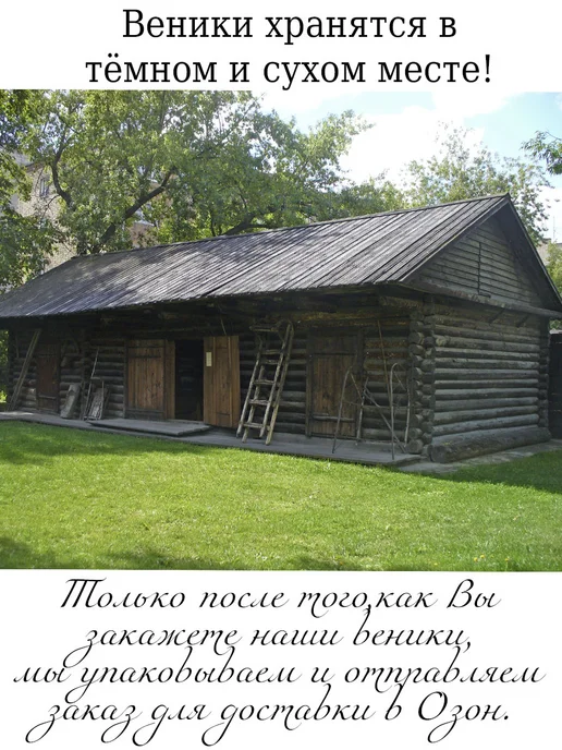 веник для бани березовый банный 6 штук, 2 шт, фото 3