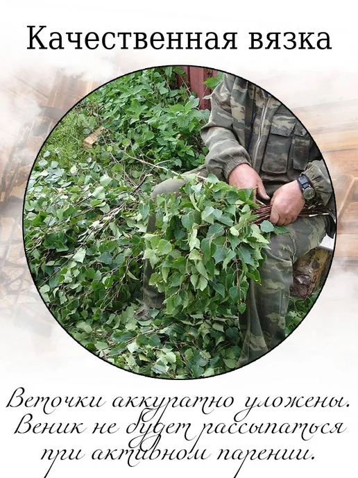 веник для бани березовый банный 6 штук, 2 шт, фото 7