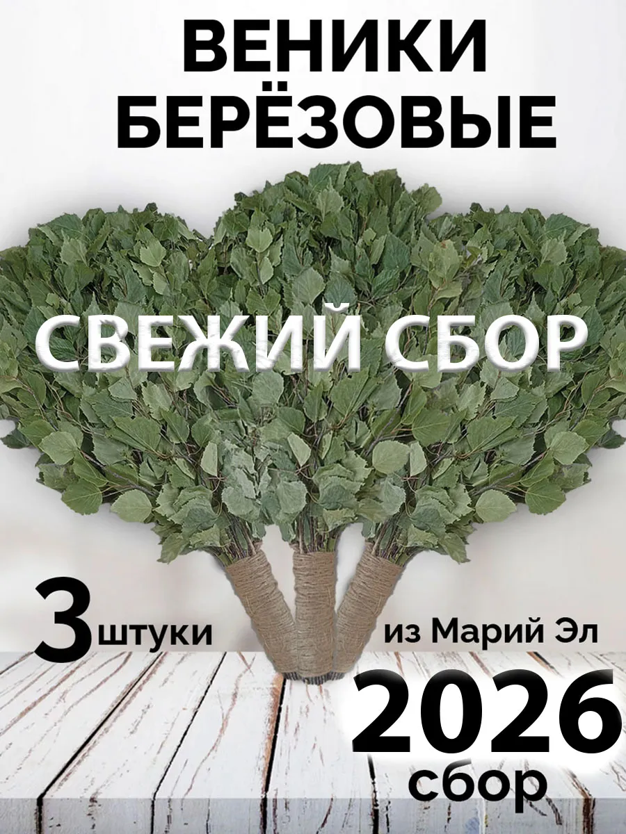 Веники для бани берёзовые из Марий Эл 3 штуки сбор 2026