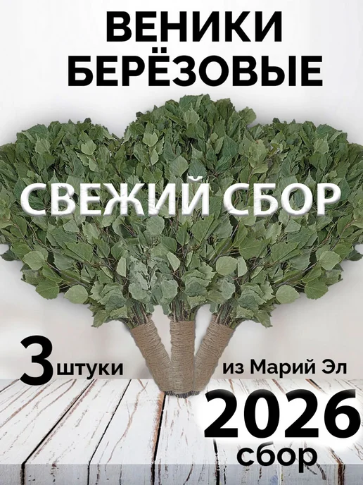 веник для бани березовый банный 6 штук, 3 шт, в упаковке 1 кг