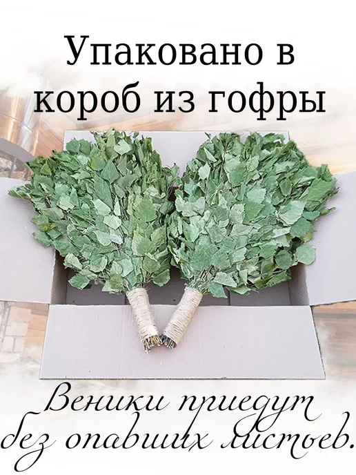 веник для бани березовый банный 6 штук, 3 шт, в упаковке 1 кг, фото 3