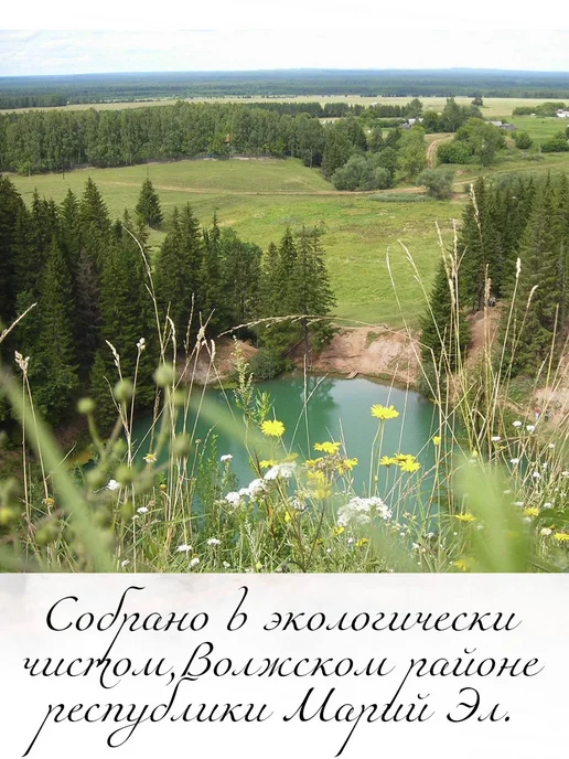 веник для бани березовый банный 6 штук, 3 шт, в упаковке 1 кг, фото 4
