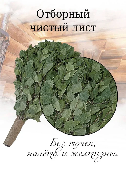 веник для бани березовый банный 6 штук, 3 шт, в упаковке 1 кг, фото 7