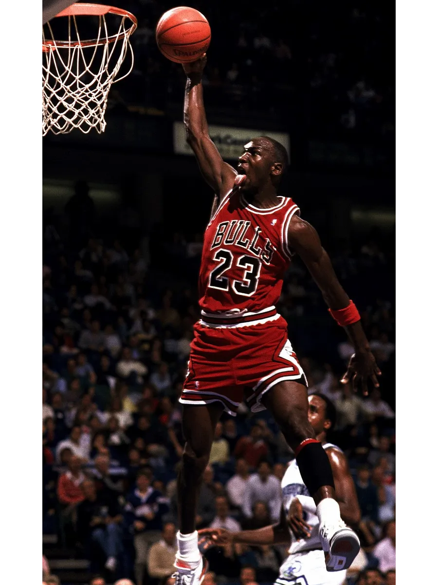 michael jordan's son net worth