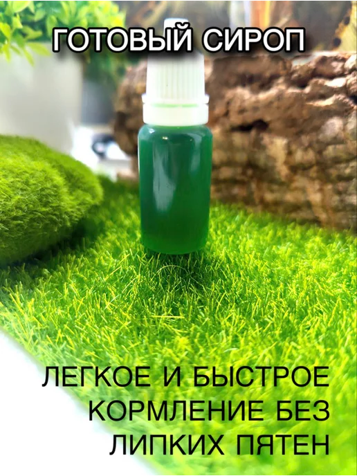 LUCKY ANT Углеводный корм для муравьев, сироп, фото 3