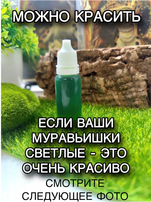 LUCKY ANT Углеводный корм для муравьев, сироп, фото 4