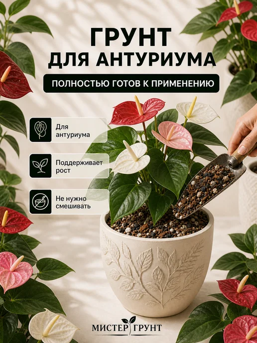 Мистер Грунт Грунт для антуриума 5л Люкс, 2 л, фото 4