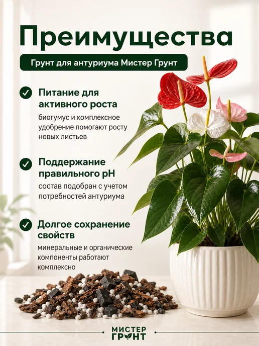 Мистер Грунт Грунт для антуриума 5л Люкс, 2 л, фото 5