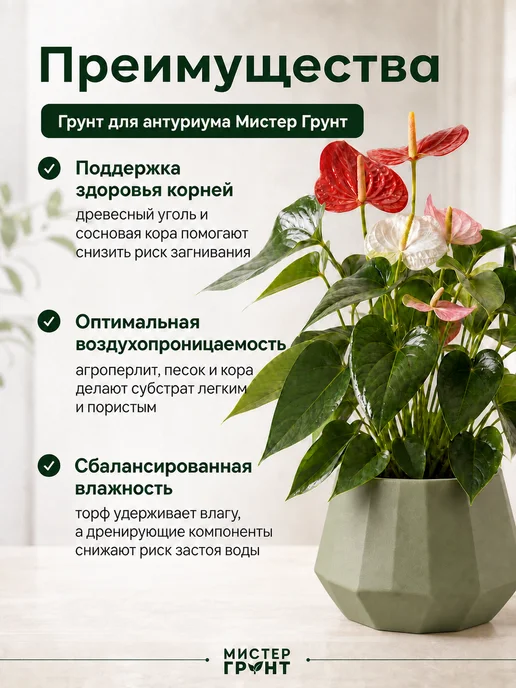 Мистер Грунт Грунт для антуриума 5л Люкс, 2 л, фото 6
