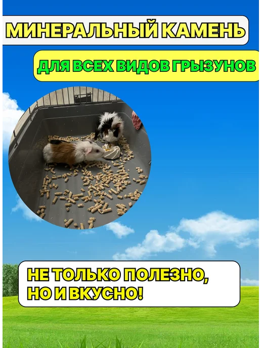 Минеральный камень для грызунов пирожное 1шт, 2 шт, фото 2