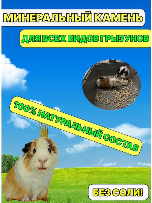 Минеральный камень для грызунов ракушка 2шт, 1 шт, фото 3