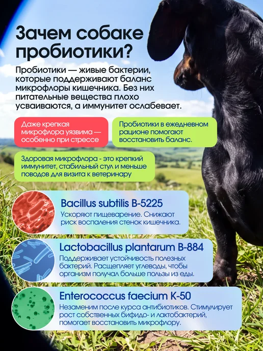 Сухой корм КОСМОБАКА Пробиотик для собак, мелкие, ягненок, 0,8 кг, фото 3