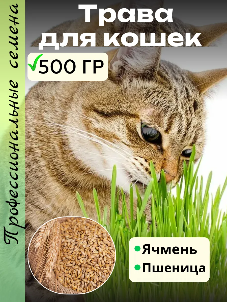 Трава для кошек проращивания 500гр (ячмень/пшеница)