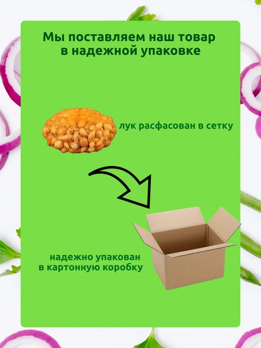 ЗДОРОВЫЙ БАЛАНС Лук севок выборка на посадку сорт Маячковский 1 кг, 1 кг, фото 2