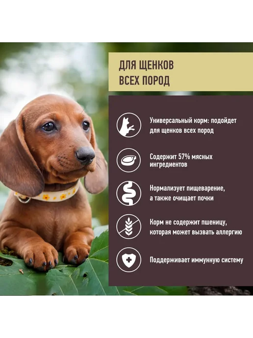 Сухой корм GRANDIN Holistic для собак, щенки, лосось, ягненок, 11,2 кг, фото 2