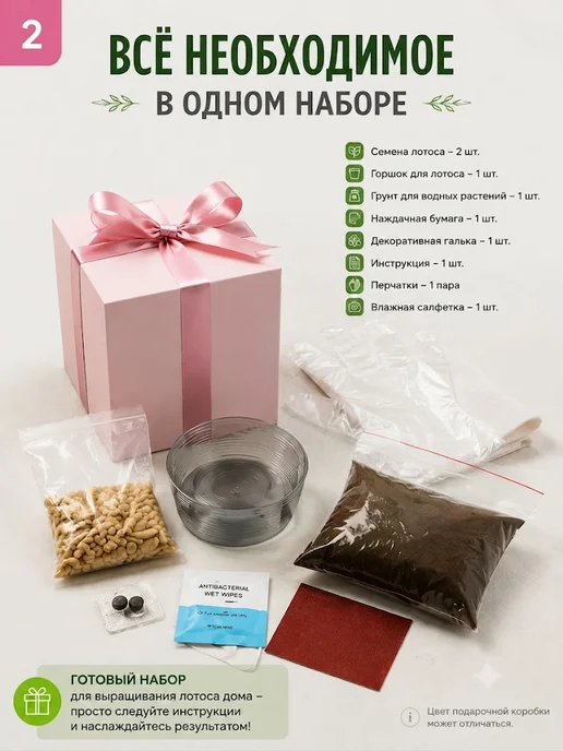 Набор для выращивания растений и цветов лотоса 2 шт, 2 шт, фото 2