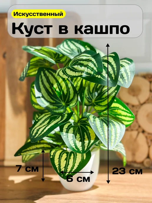 GreenHol Искусственные цветы в горшке для декора Пеперомия, зеленый