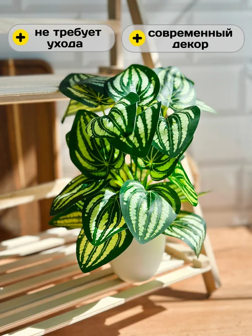 GreenHol Искусственные цветы в горшке для декора Пеперомия, зеленый, фото 2