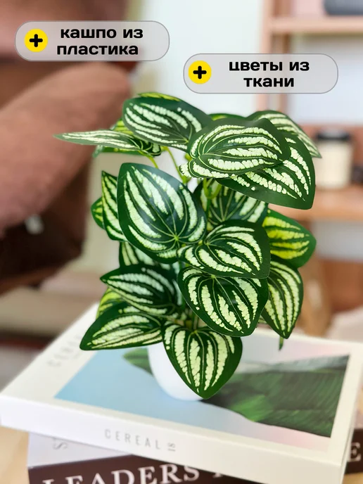 GreenHol Искусственные цветы в горшке для декора Пеперомия, зеленый, фото 8